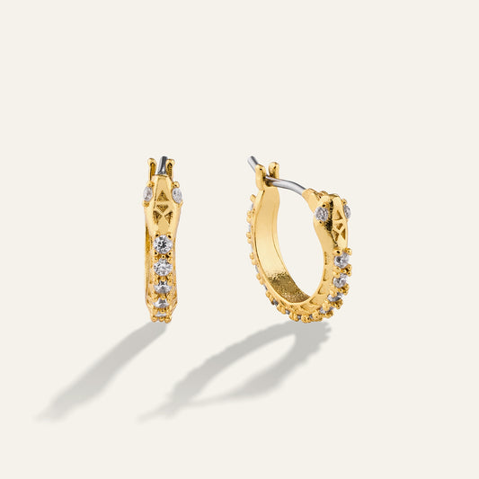 Snake Hoop Earrings