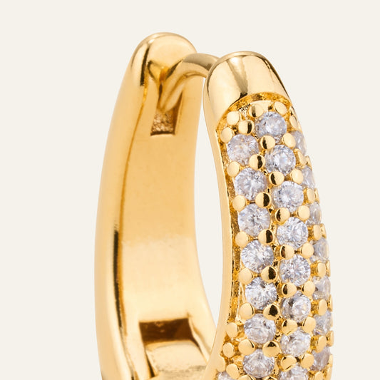 Carter Hoop Statement Earrings