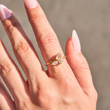 Fusion Ring